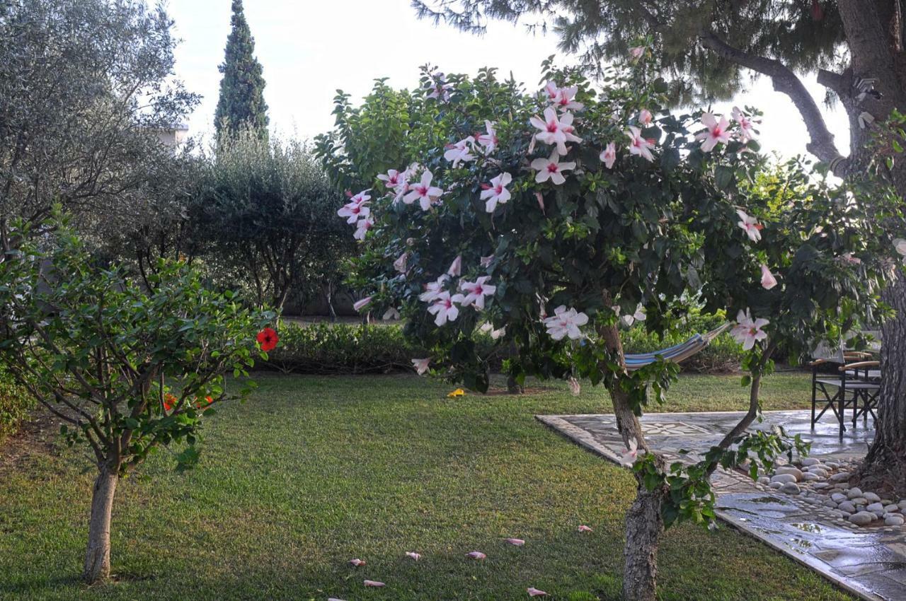 Messinian Blue Seaside Villa Kalamata Eksteriør billede